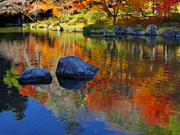 成田山公園紅葉まつり
