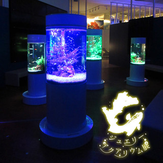 イオンモール木更津に　水族館「ジュエリーアクアリウム」が 8月31日までの期間限定でオープン！